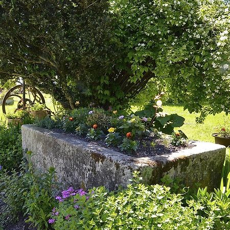 Bed and Breakfast Le Vieux Noyer Saint-Maurice-de-Tavernole Exterior foto